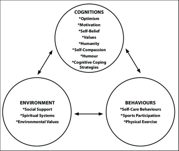 towards a transversal definition of psychological resilience a literature review